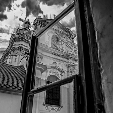 Penzion U Borovicku Літомержице Екстер'єр фото