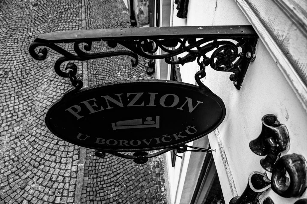 Penzion U Borovicku Літомержице Екстер'єр фото