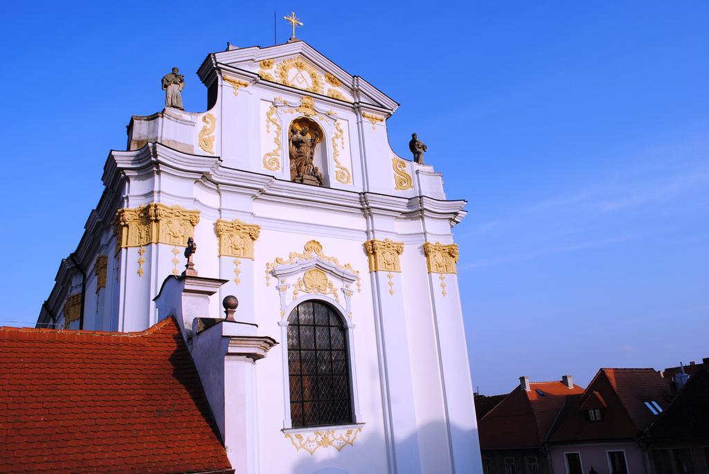 Penzion U Borovicku Літомержице Екстер'єр фото