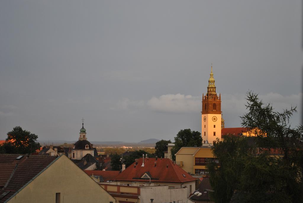 Penzion U Borovicku Літомержице Екстер'єр фото